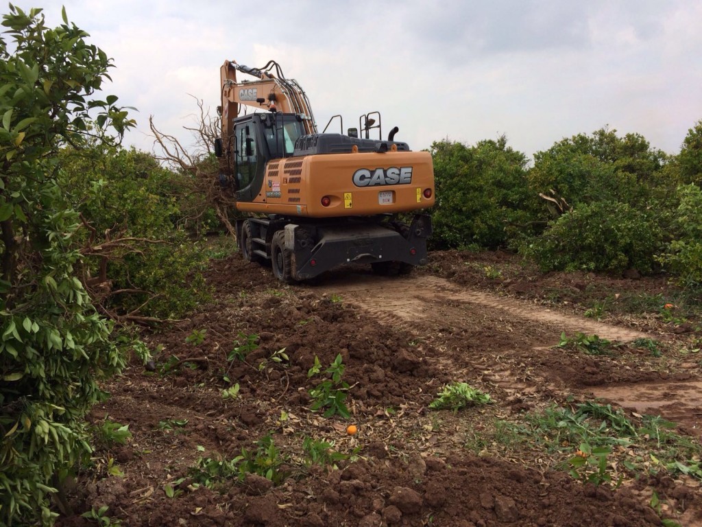 f9fc5d514cca79eb164b3cee21d7d6f9